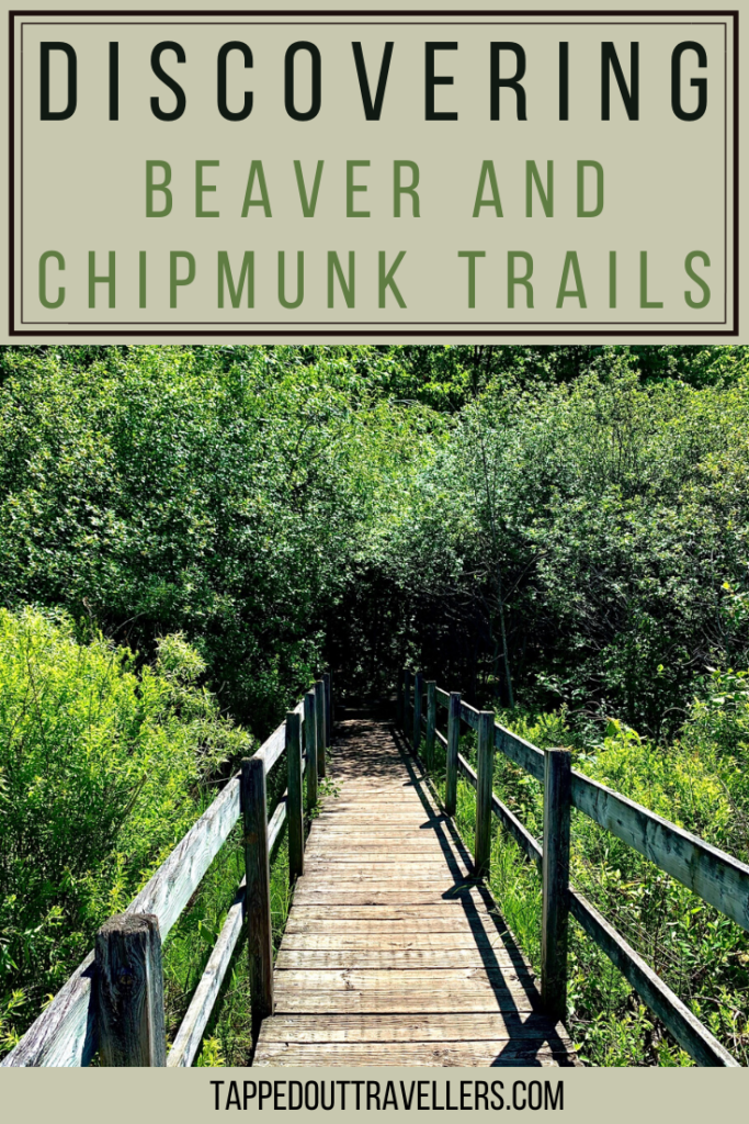 Ottawa's Beaver and Chipmunk Trails
