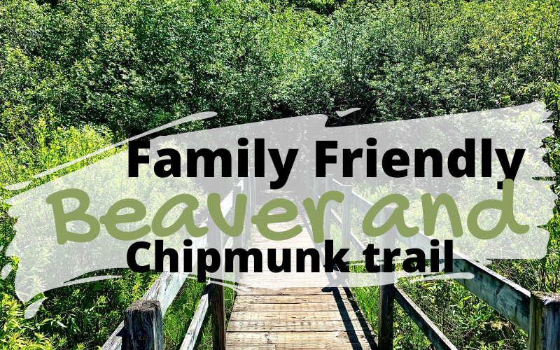 Ottawa's Beaver and Chipmunk Trails
