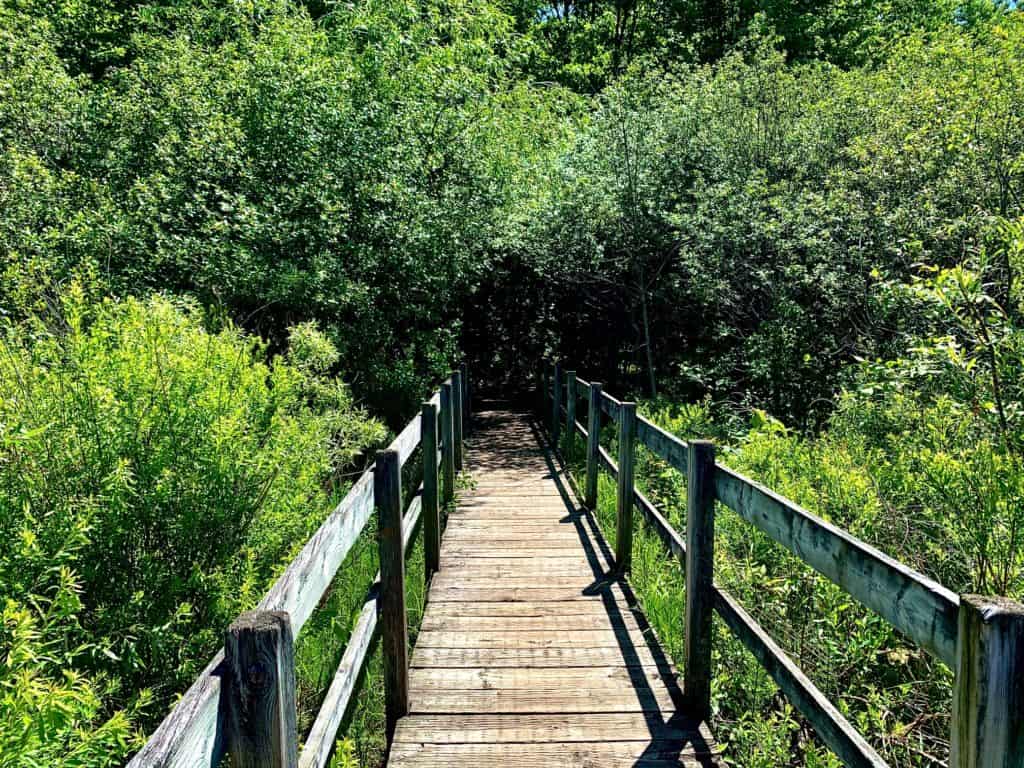 Ottawa's Beaver and Chipmunk Trails