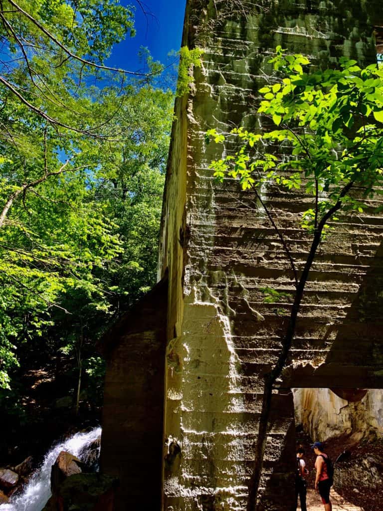 It's the ideal time hike in Gatineau Park with trilliums carpeting the woodland floor. For an easy outing check out the Thomas "Carbide" Willson ruins.
