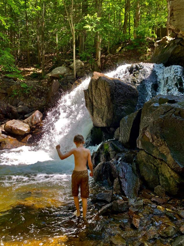 It's the ideal time hike in Gatineau Park with trilliums carpeting the woodland floor. For an easy outing check out the Thomas "Carbide" Willson ruins.