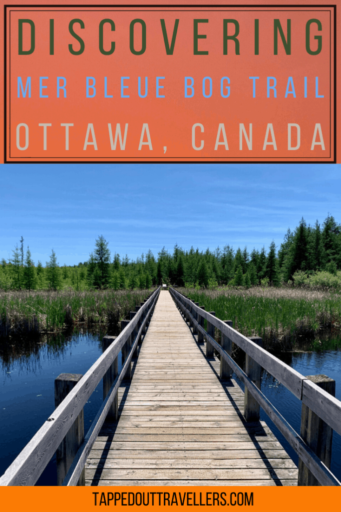 Mer Bleue Bog trail, Ottawa's favorite hiking trail