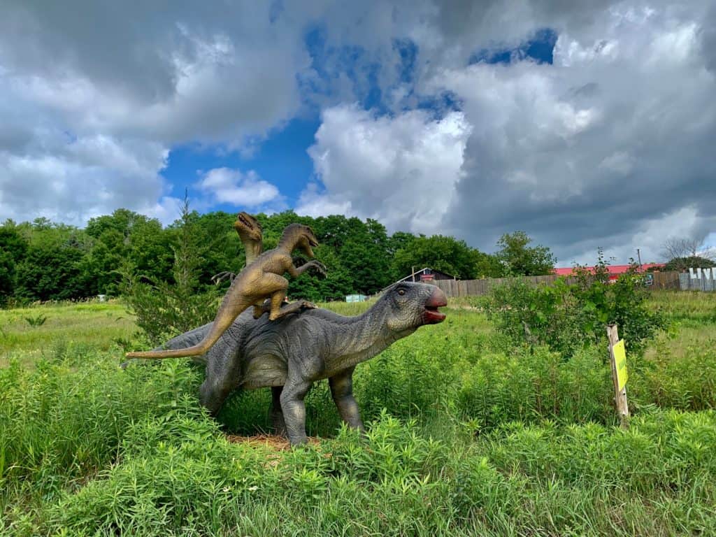 Indian River Reptile & Dinosaur Park