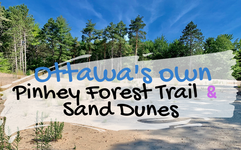 Pinhey Forest Trail Sand Dunes