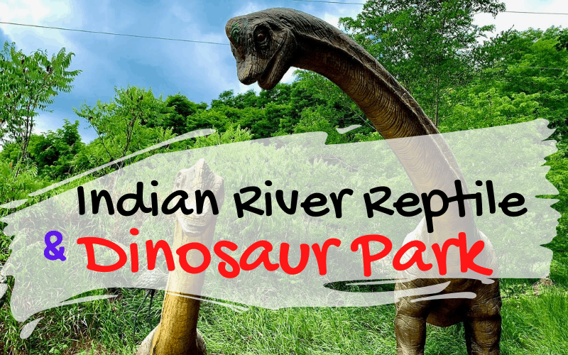 Indian River Reptile & Dinosaur Park